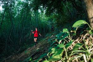 BIB: 
                            <button type="button" onclick="openModal(28123770)" class="btn btn-primary btn-sm float-right btn-popup" data-toggle="modal" data-target=".modal-high-quality">
                        <i class="fas fa-shopping-cart"></i> Add to Cart
                    </button>
                                            <button type="button" onclick="isThisMe(28123770, true)" class="btn btn-success btn-sm float-right btn-popup btn-isme hidden" data-toggle="tooltip" data-placement="bottom" title="นี่คือรูปของคุณใช่ไหม คลิกที่นี่เพื่อเอาเข้าอัลบั้ม">
                        <i class="fas fa-plus"></i> Add to album
                    </button>
                    <button type="button" onclick="isThisMe(28123770, false)" class="btn btn-warning btn-sm float-right btn-popup btn-isnotme hidden">
                        <i class="fas fa-ban"></i> Remove from album
                    </button>